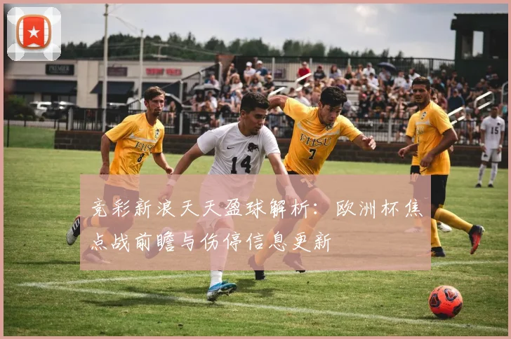 竞彩新浪天天盈球解析：欧洲杯焦点战前瞻与伤停信息更新
