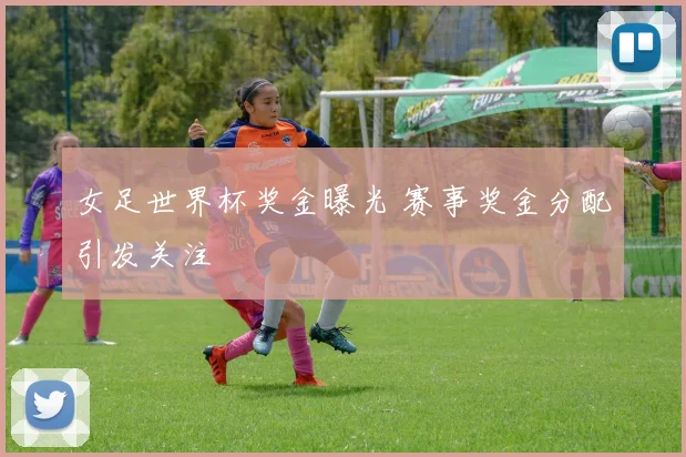女足世界杯奖金曝光 赛事奖金分配引发关注