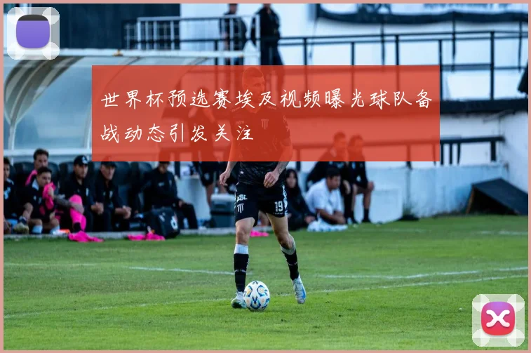 世界杯预选赛埃及视频曝光球队备战动态引发关注